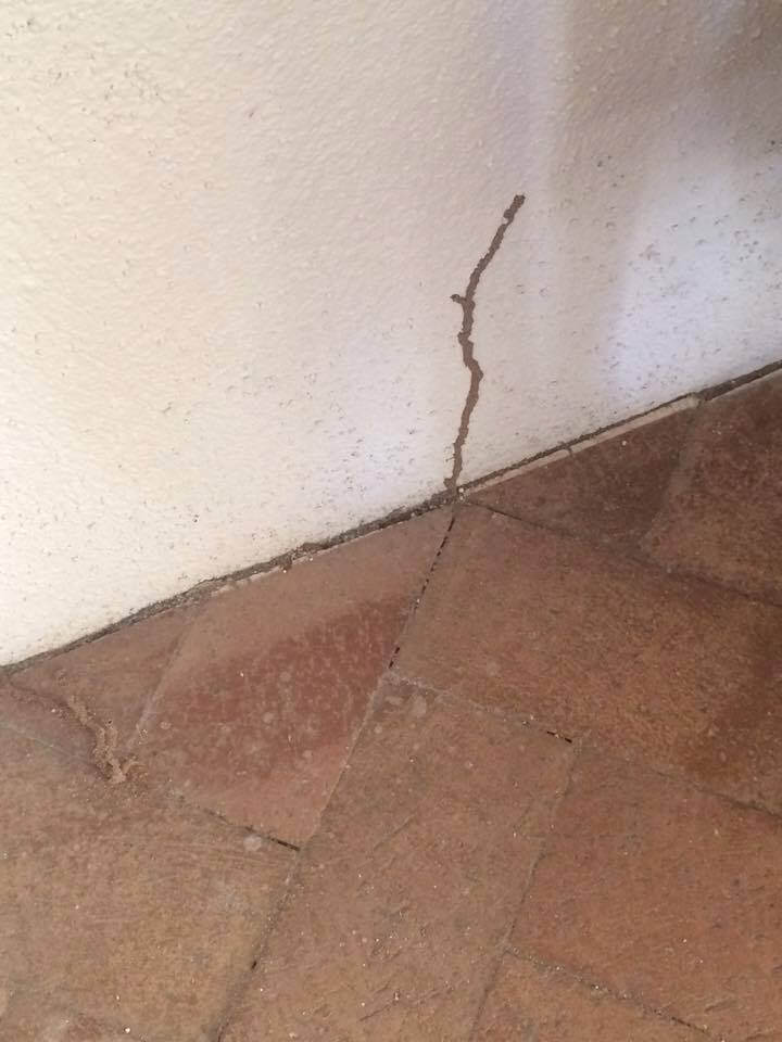 14291795_10154071656559541_2544923180878749842_n