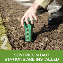 Sentricon Termite System Waco Texas