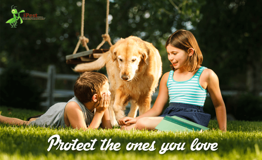 proteckt-the-ones-you-love