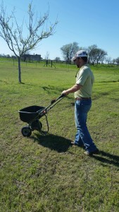 ant treatment waco tx