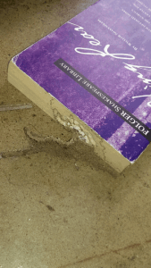 Pest Control Waco TX Termites