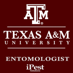 pest_control_waco_entomologist_ipest