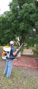 mosquitos_pest_control_waco_tx_ipest_solutions
