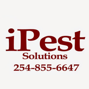 pest control ipest solution