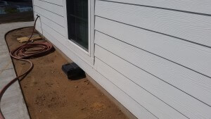 ipest_solution_pest_control_waco_tx_rodent_control