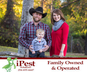 pest_control_waco_texas_ipest