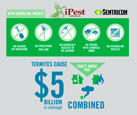 termite-control-ipest-waco