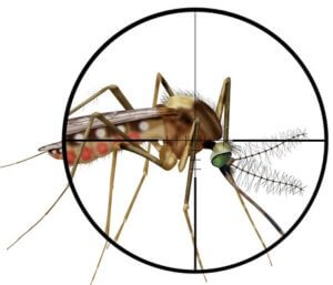 Waco Mosquito Control