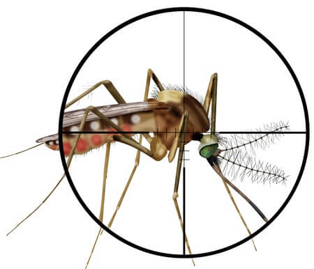 Waco Mosquito Control