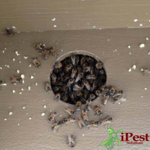 Untitled design – 2021-03-23T150500.629