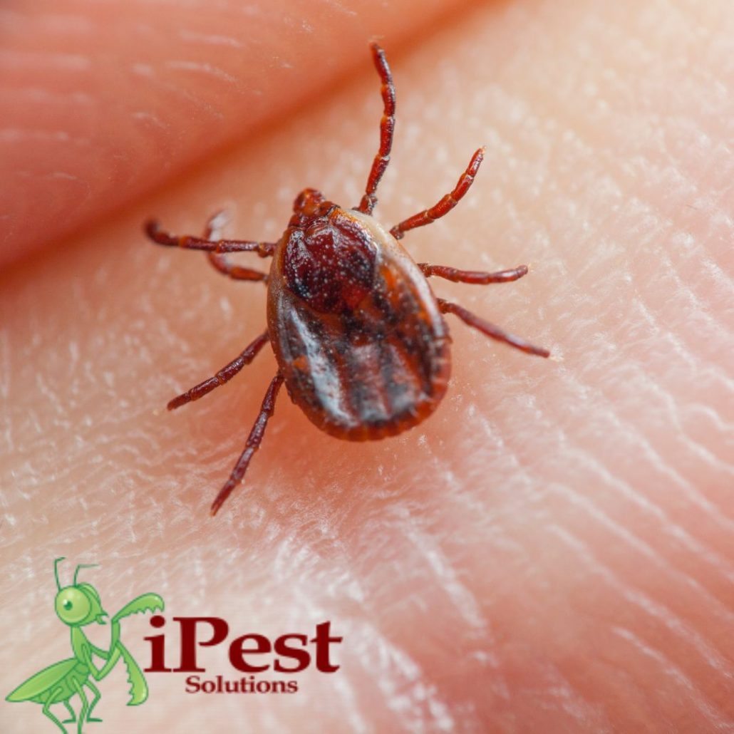 Untitled design – 2023-04-25T140641.519