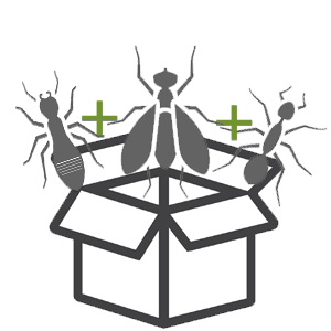 Waco-Pest-Control-Bundle.png