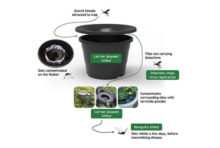how-in2care-mosquito-traps-work